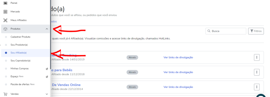 Hotmart Para Iniciantes