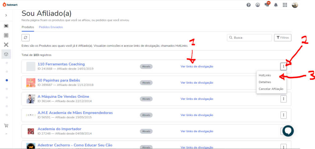 Hotmart Para Iniciantes